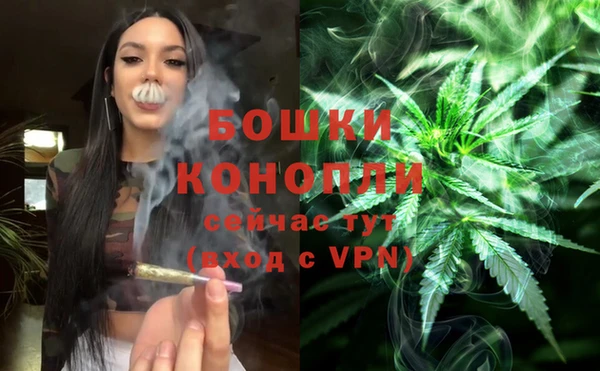PSILOCYBIN Новокубанск