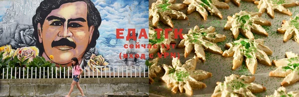 дурь Новодвинск